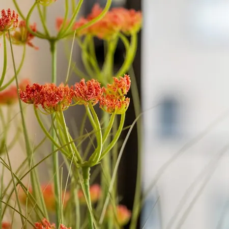 아파트 Sea-time - Modern Centrum 오스텐드